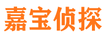 和林格尔侦探公司